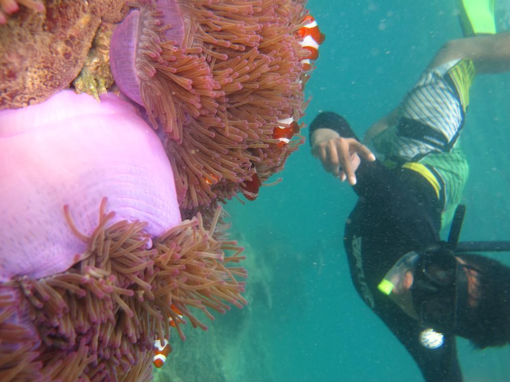 Ombak Dive Resort Perhentian Island Pulau Perhentian Kecil Exteriör bild